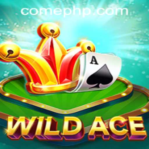 Unveiling WildAce: The Next-Level Adventure by PHPCome.COM